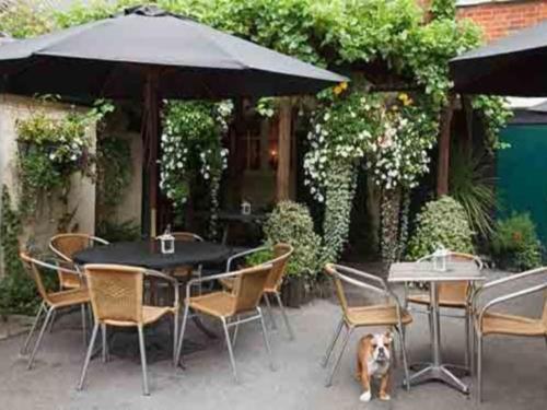 The Lamb Inn Marlborough Luaran gambar
